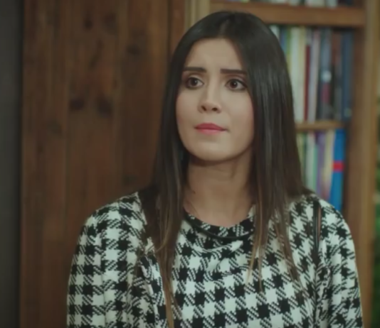 Aslan Ailem Dizisi Hale Kim? Oynadığı Diziler