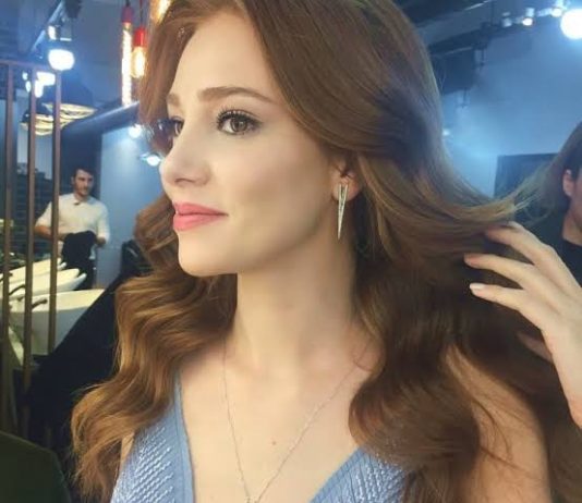 Çarpışma Dizisi Elçin Sangu Hakkında Hiç Bilinmeyenler
