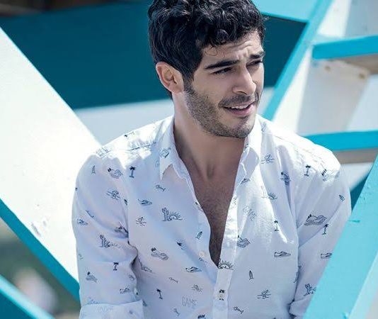 Bizim Hikaye Barış Kimdir, Nelerde Oynadı?