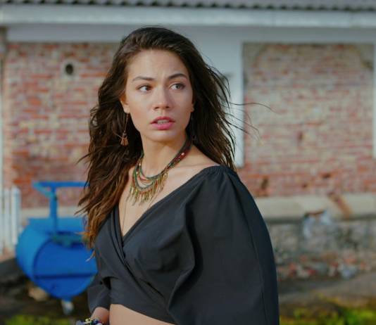 ERKENCİ KUŞ DİZİSİNİN YENİ HALİ SEVİLDİ Mİ?